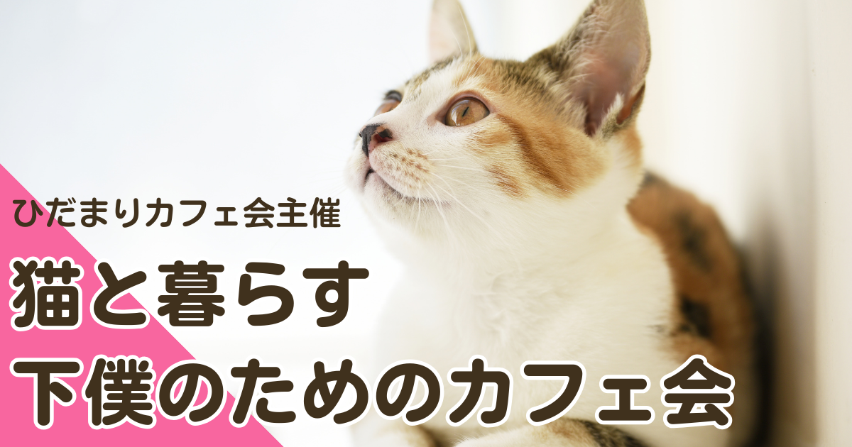 猫と暮らす下僕のためのカフェ会