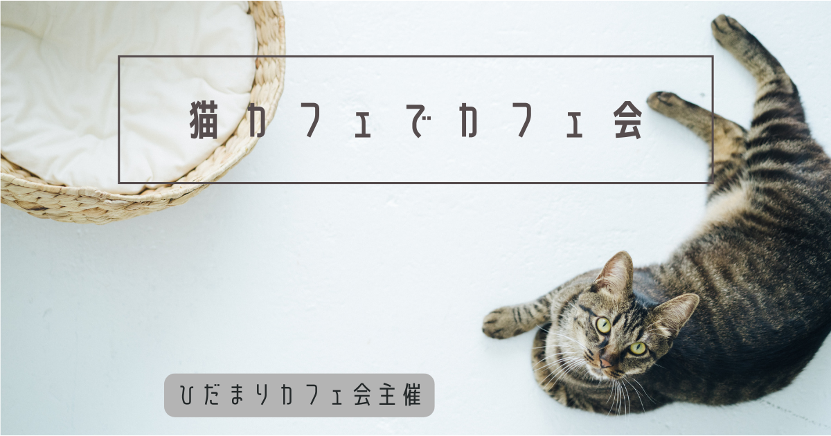 猫カフェでカフェ会